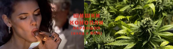 трава Протвино
