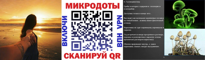 Купить где  Великий Новгород  Псилоцибиновые грибы мухоморы 
